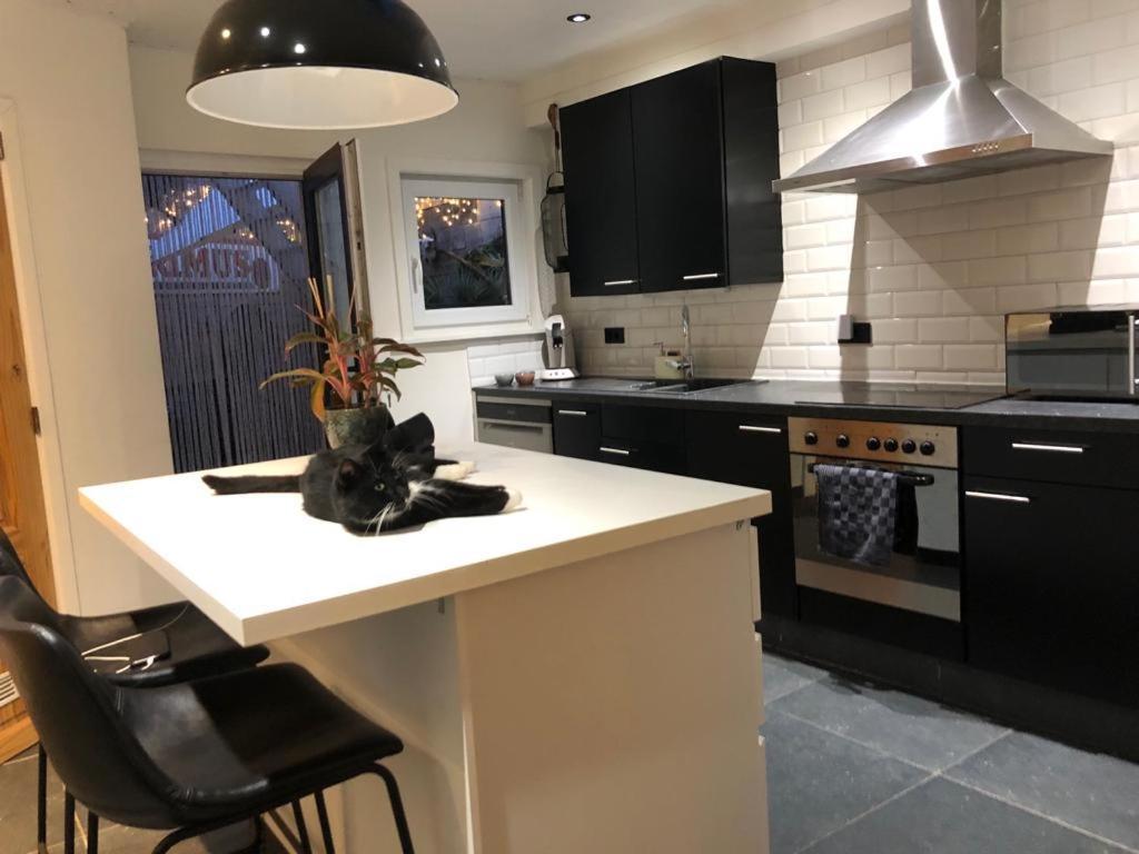 Appartamento Studio Dream On Met Zonnige Terras Ostenda Esterno foto