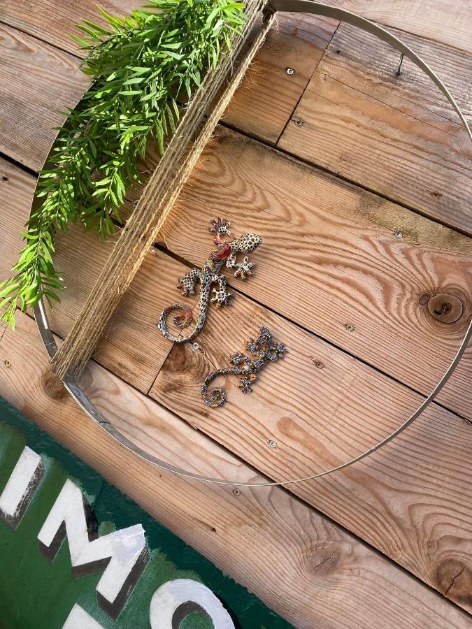 Appartamento Studio Dream On Met Zonnige Terras Ostenda Esterno foto